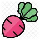 Beetroot Beet Radish Icon