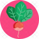 Salad Beetroot Healthy Icon