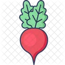 Beetroot Vegetable Radish Icon