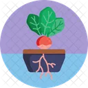 Bio Food And Agriculture Beetroot Plant Icon
