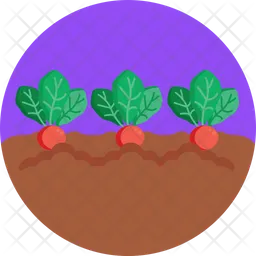 Beetroot  Icon