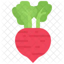 Beetroot Beet Vegetable Icon