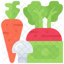 Beetroot Carrot Beet Icon