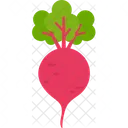 Beetroot Radish Vegan Icon