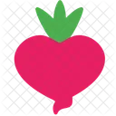 Beetroot Fruit Vegetable Icon