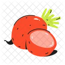 Beta Vulgaris Beetroot Root Vegetable Icon