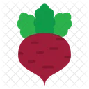 Beetroot Vegetable Healthy Icon