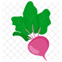 Beetroot  Icon