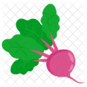 Beetroot  Icon