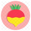 Beetroot  Icon