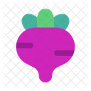 Beetroot Vegetable Fruit Icon