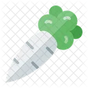 Beetroot  Icon