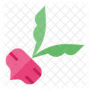 Beetroot  Icon
