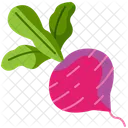 Beetroot  Icon