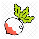 Beetroot  Icon