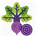 Beetroot Icon