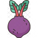 Beets Root Food Icon