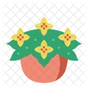 Begonia Garden Plant Icon