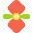 Begonia Icône