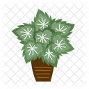 Botanical House Plant Potted Icon