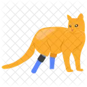 Behinderte Katze  Symbol