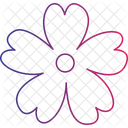 Belarus Flower National Flower Eastern Bloom Icon