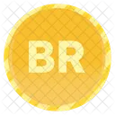 Belarusian Ruble Coin  Icon
