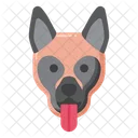 Belgian Malinois dog  Icon