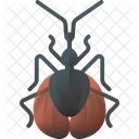 ベルクリケット  アイコン