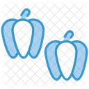 Bell Pepper Icon