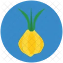 Bell Pepper Icon