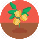 Bio Food And Agriculture Bell Pepper Farm Icon
