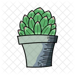 Cactus de belleza  Icono