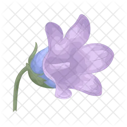 Bellflower  Icon