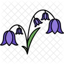 Bellflower  Icon