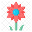 Bellis Flower  Icon