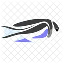 Bellus Angelfish Icon