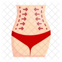 Belly fat  Icon