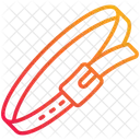 Belt  Icon