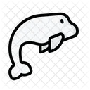Beluga  Icon