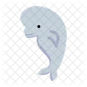 Beluga Whale Marine Animal Icon