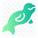 Beluga  Icon