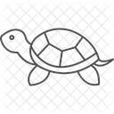 Zierschildkrote Zierschildkrote Reptil Symbol