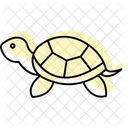 Bemalte Schildkrote Symbol