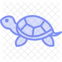 Bemalte Schildkrote Symbol