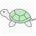 Zierschildkrote Zierschildkrote Reptil Symbol