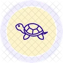 Zierschildkrote Zierschildkrote Reptil Symbol