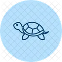 Zierschildkrote Zierschildkrote Reptil Symbol