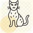 벵갈 고양이  아이콘