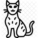 Bengalkatze  Symbol